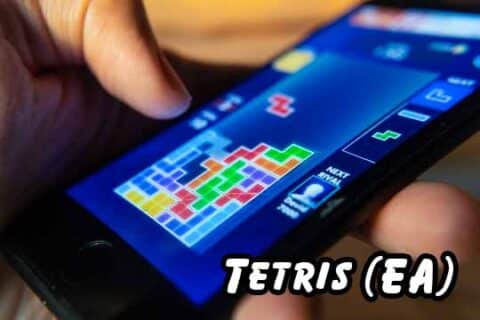 Tetris (EA)_What is the Most Sold Game in the World