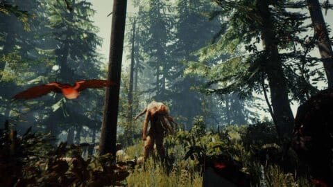 The forest game screen capture